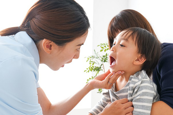 名学歯ご紹介